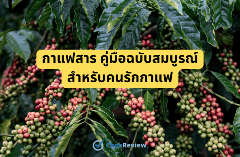 กาแฟสาร คู่มือฉบับสมบูรณ์ สำหรับคนรักกาแฟ