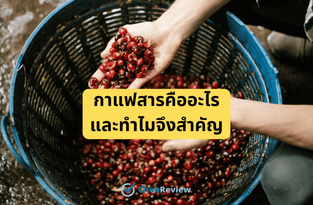 กาแฟสารคืออะไร และทำไมจึงสำคัญ