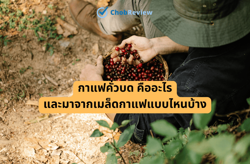 กาแฟคั่วบด คืออะไร และมาจากเมล็ดกาแฟแบบไหนบ้าง